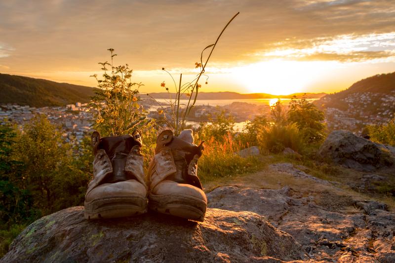 Hiking Essentials You Need Before Hitting the Trail